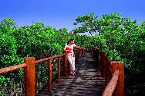 Hotel Grand Palladium Colonial Res. Akumal